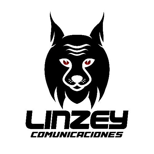1.LINZEY COMUNICACIONES