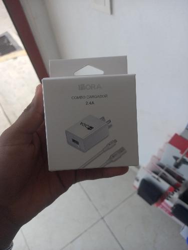 Cargador 1 hora lightning 