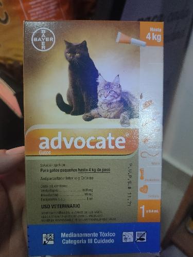 Advocate gatos 4 kg