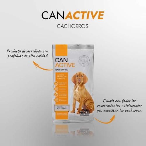 Can active cachorro x20kg 
