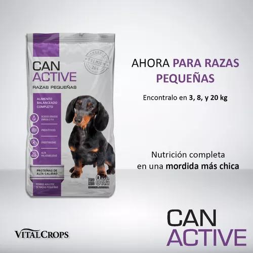 Can active raza pequeña x20kg 