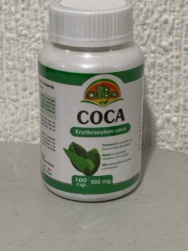 Coca de 500gr