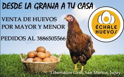 ECHALE HUEVOS