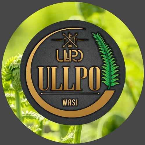 ULLPO(wasi)