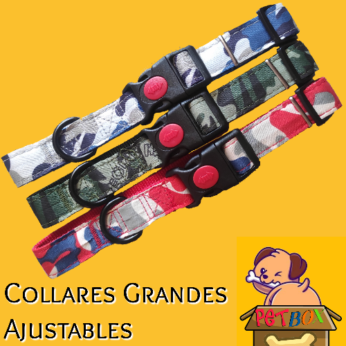 Collares para Perros Grandes 