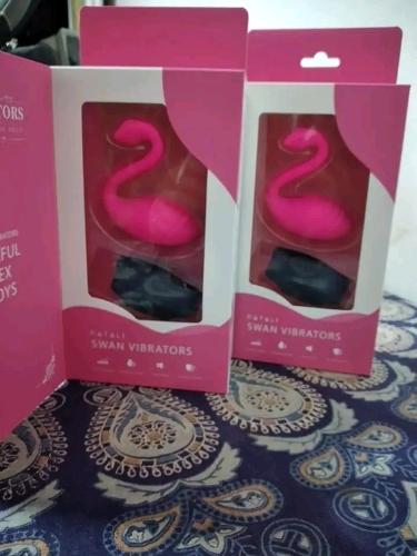 Cisne vibrador