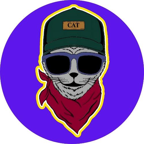 VET. RINCON DE MASCOTAS