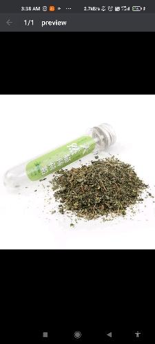 0015 CATNIP EN FRASCO