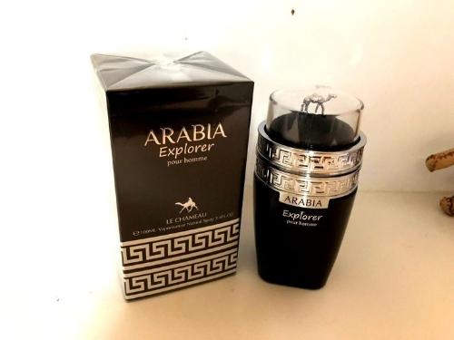 Arabia explorer Emper le chameau
