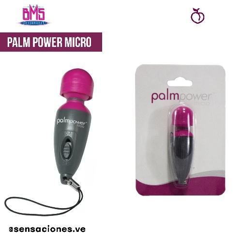 06 Palm power micro
