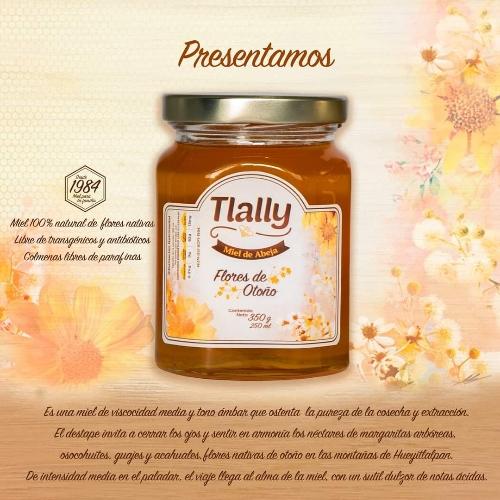 Miel y sus derivados