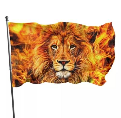 Bandera de leon de Juda