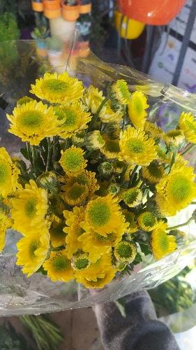 Floristería tibabuyes