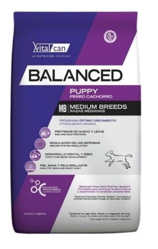 Balanced medium breeds