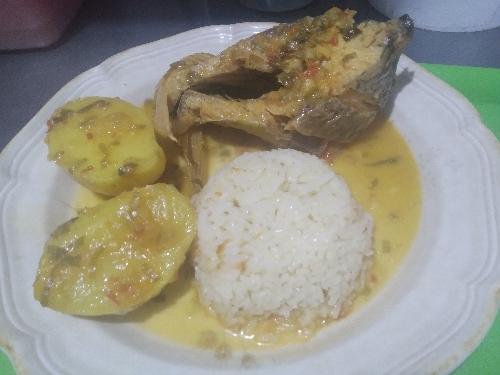 bocachico