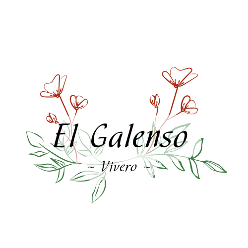 Vivero "El Galenso"