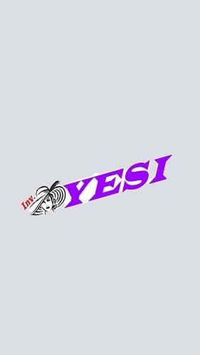 Inversiones yesi 