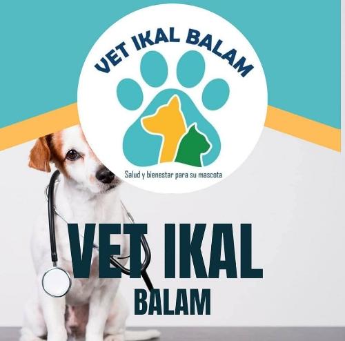 Vet Ikal Balam 