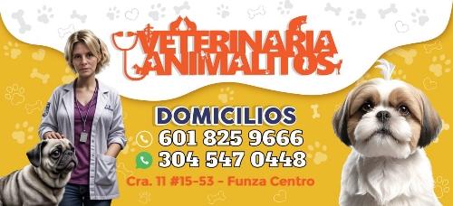 veterinaria animalitos