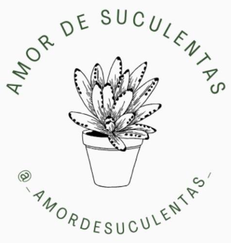 Amor de Suculentas 