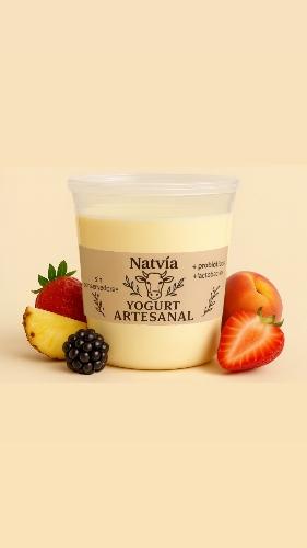 Yogurt Natvía