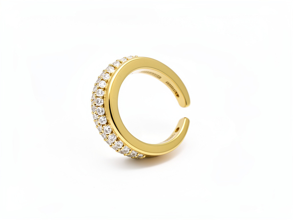 Imagen 1 de Anillos