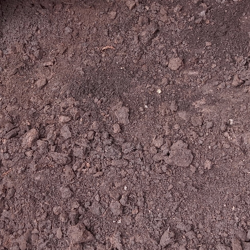 Imagen 1 de Abono orgánico (lombricompost) libra