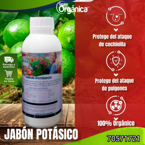 Imagen 1 de JABÓN POTÁSICO 
