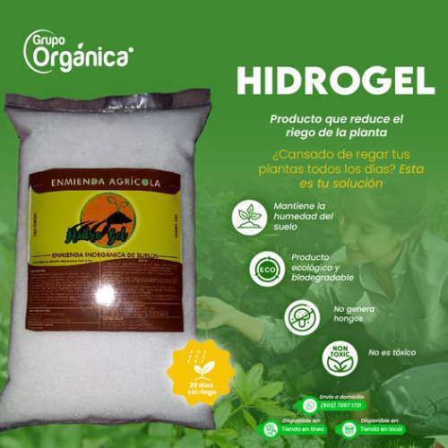 Imagen 1 de HIDROGEL 