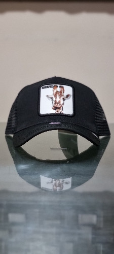 Imagen 1 de Giraffe N