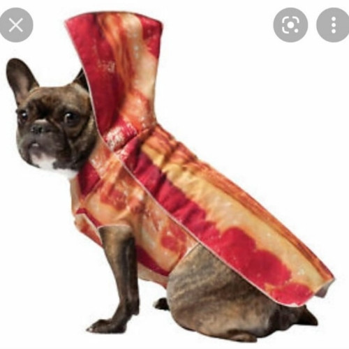 Imagen 1 de Disfraz tocineta 🥓 