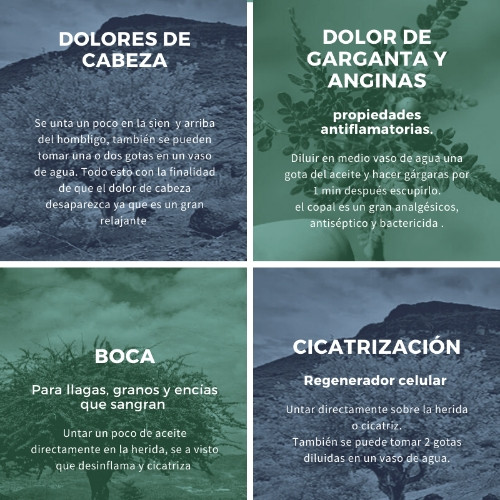 Imagen 1 de Aceite de copal capacidad 5 ml