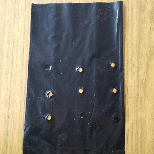 Imagen 1 de Bolsa de almasigo 15.5x24.5
