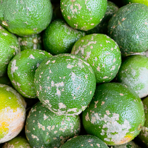 Imagen 1 de LIMON MANDARINA