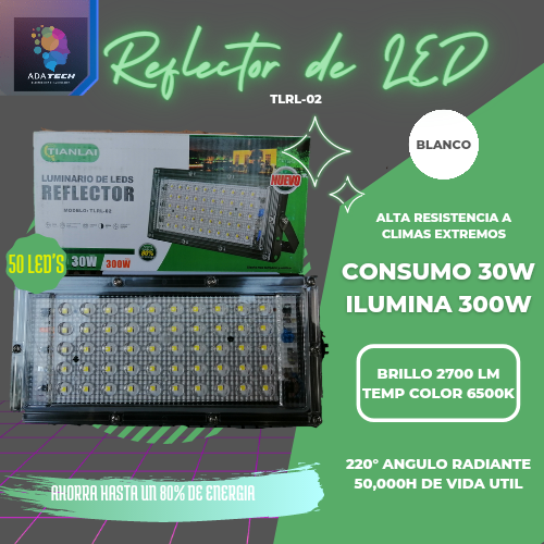 Imagen 1 de Reflector LED 30w