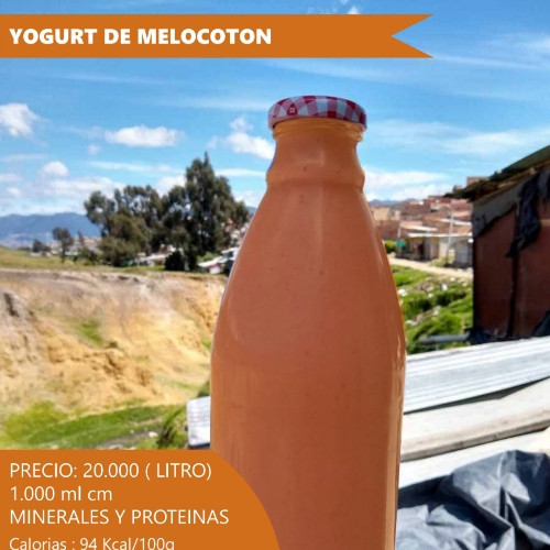 Imagen 1 de Yogurt de melocotón
