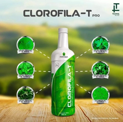 Imagen 1 de Clorofila 