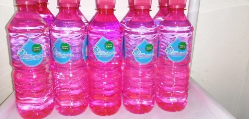 Imagen 1 de Botella de 500 ml al mayoreo