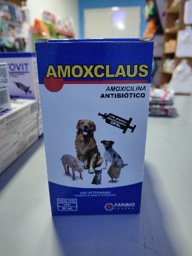 Imagen 1 de Amoxiclaus jbe