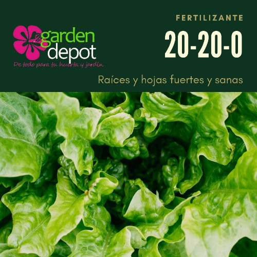 Imagen 1 de 20-20-0