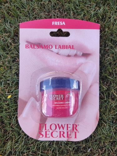 Imagen 1 de Bálsamo para Labios Fresa 