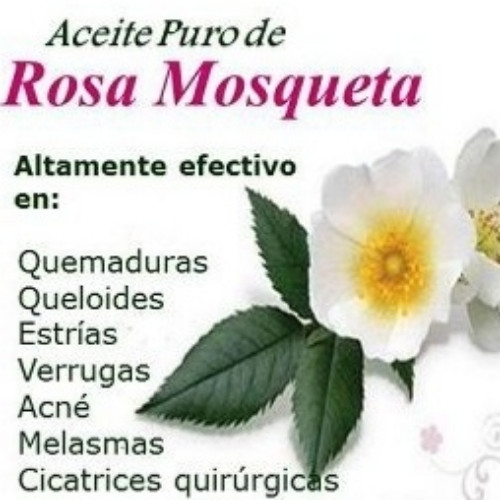 Imagen 1 de Aceite Artesanal de Rosa mosqueta 
