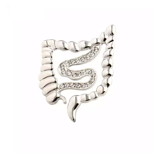 Imagen 1 de Broche de intestino plateado