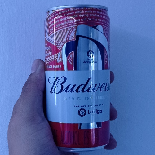 Imagen 1 de Cerveza Budweiser x 269 ml