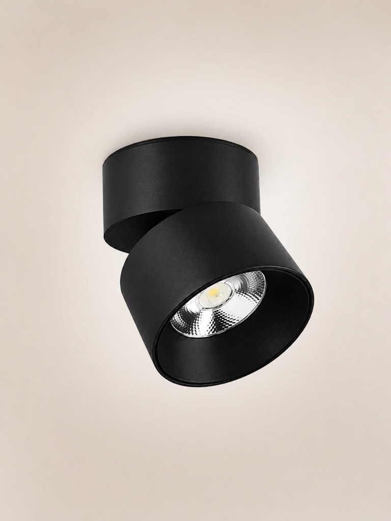 Imagen 1 de Spot LED de sobreponer orientable 20W