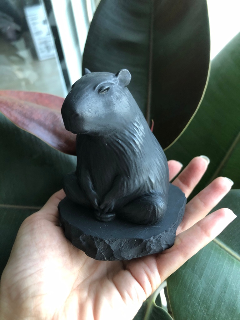 Imagen 1 de Animalito Shungita Capibara