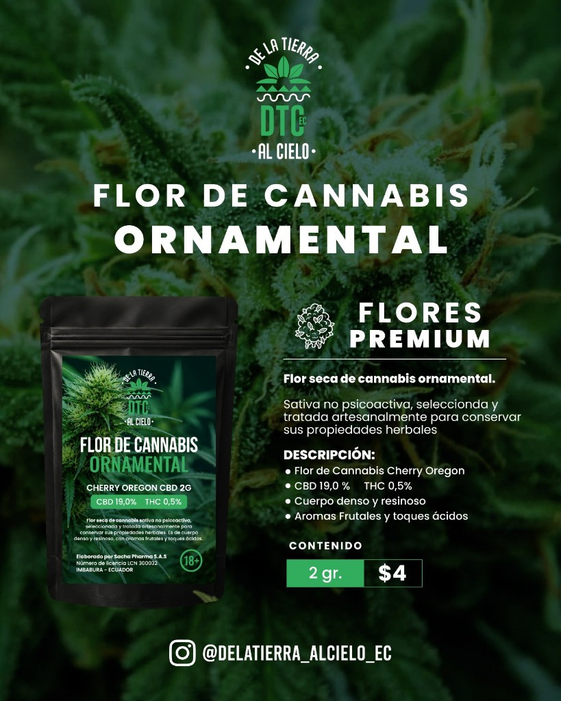 Imagen 1 de Flor de cannabis ornamental Cherry Oregon 2gr