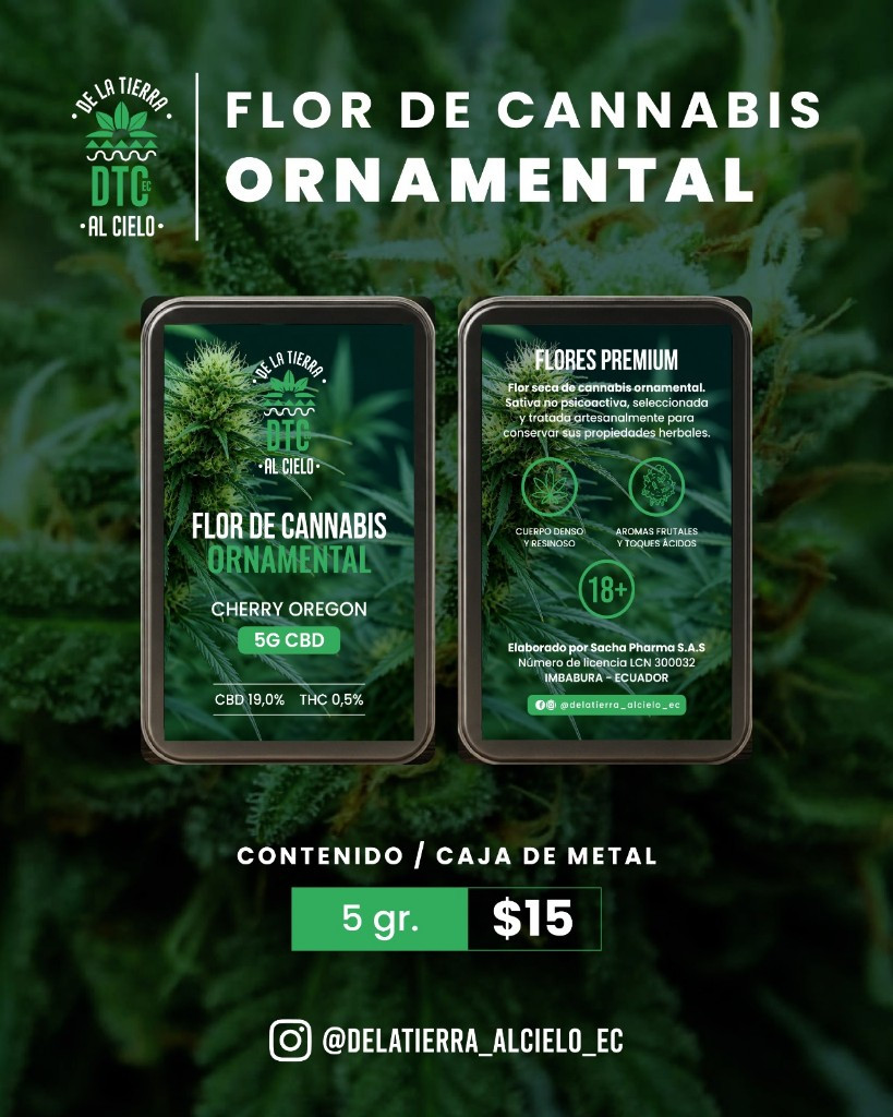 Imagen 1 de Flor de cannabis ornamental Cherry Oregon 5g