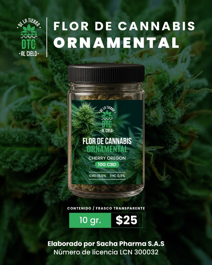 Imagen 1 de Flor de cannabis ornamental Cherry Oregon 10g