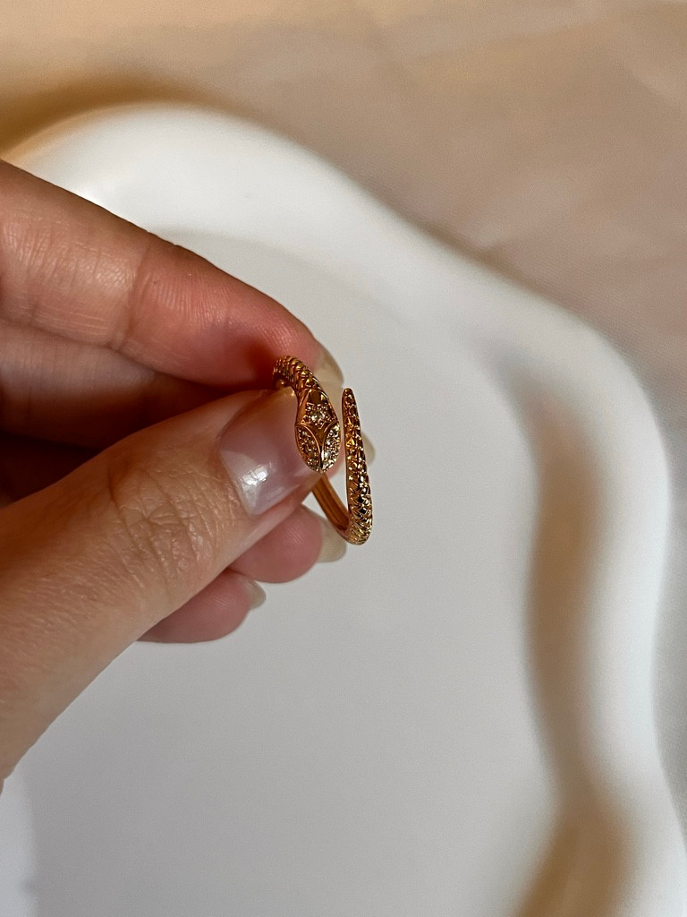 Imagen 1 de Anillo serpiente
